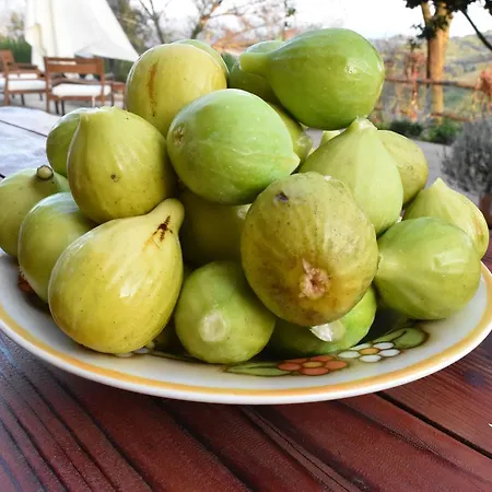 Il Casale Del Francese Bed & Breakfast Prignano Cilento